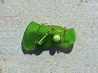 Green Glass Pin