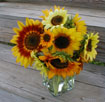 Sunflower Design